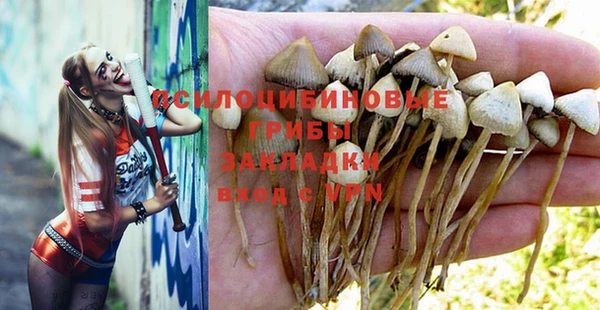 синтетический гашиш Абинск