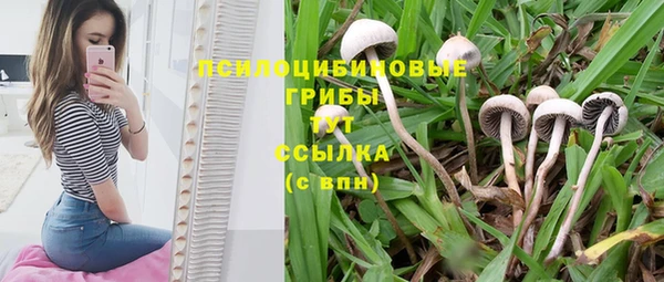 дмт Абдулино