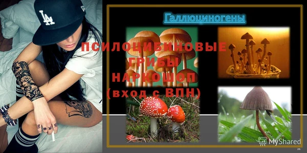 apvp Абаза